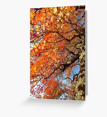 Autumn hues Greeting Card