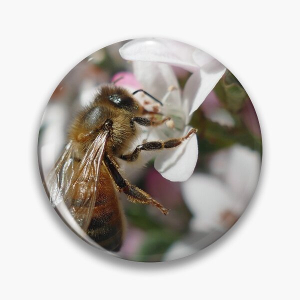 Item preview, Honey bee on a flower. Collecting nectar. Bee set #5 designed and sold by RankAmateur.