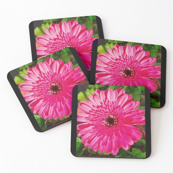 Item preview, Exotic pink gerbera flower designed and sold by Moussa  Sussi.