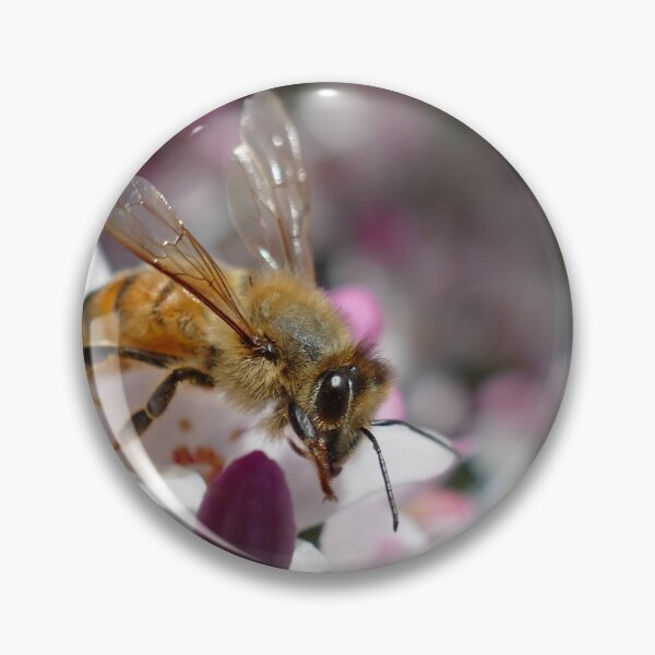 Item preview, Honey bee on a flower. Collecting nectar. Bee set #4 designed and sold by RankAmateur.