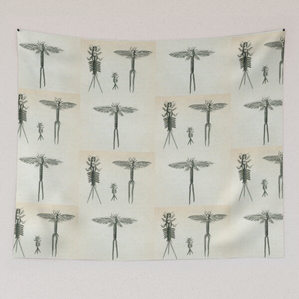 Artikelvorschau, Vintage Sealife art - Mayfly entworfen und verkauft von Vintage Designs +.