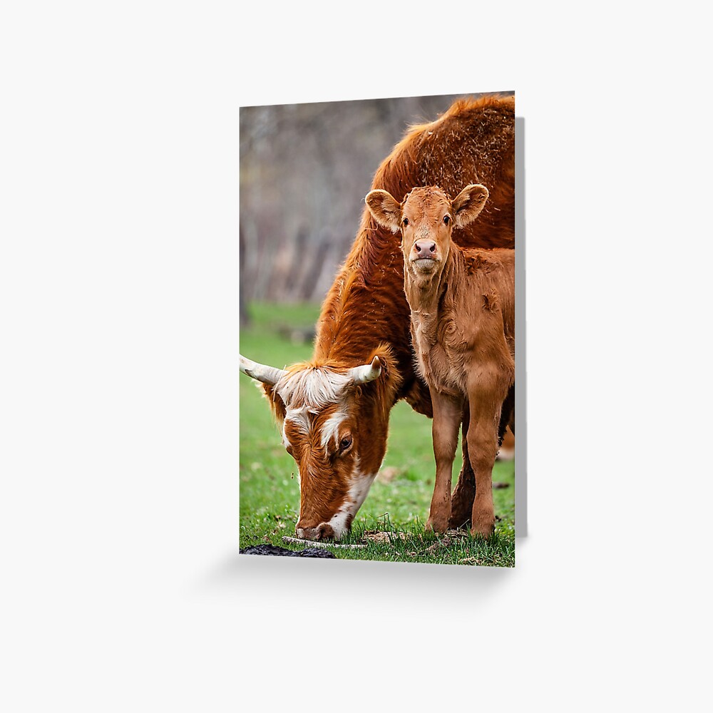 Item preview, Greeting Card designed and sold by Vargulich.