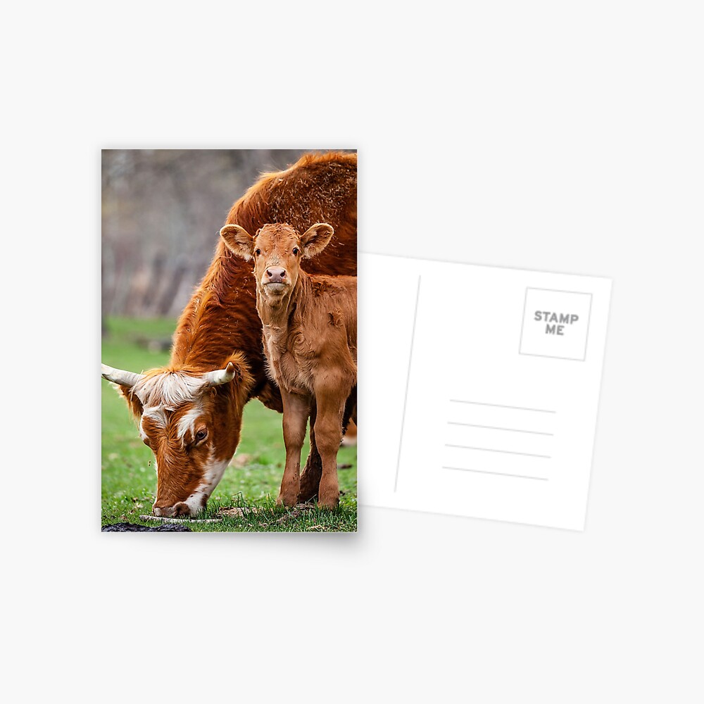 Item preview, Postcard designed and sold by Vargulich.