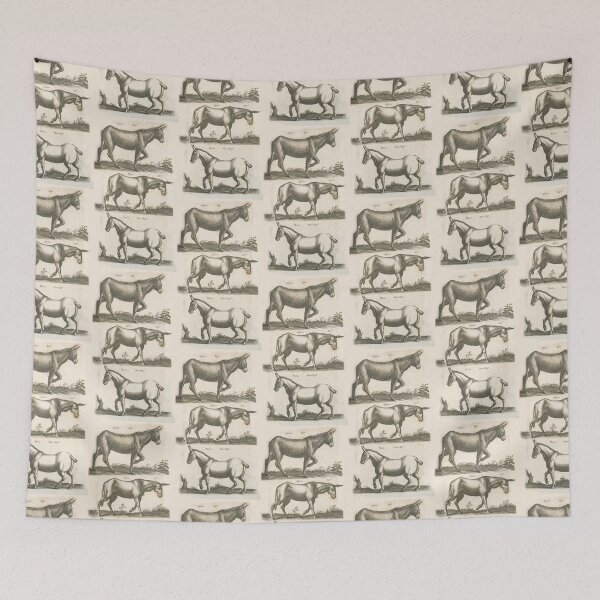 Artikelvorschau, Equine species vintage illustration entworfen und verkauft von Vintage Designs +.