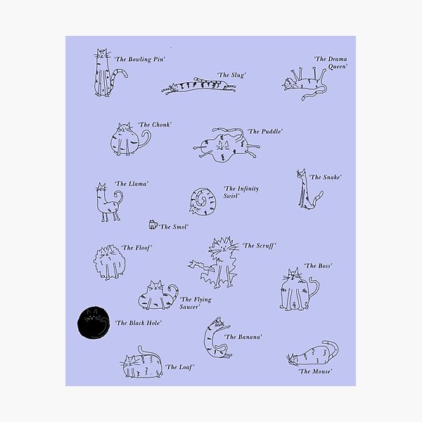 Oddcats - Purple Photographic Print