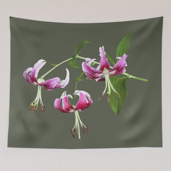 Item preview, Pink Turk's Cap Lily designed and sold by Susan Savad.