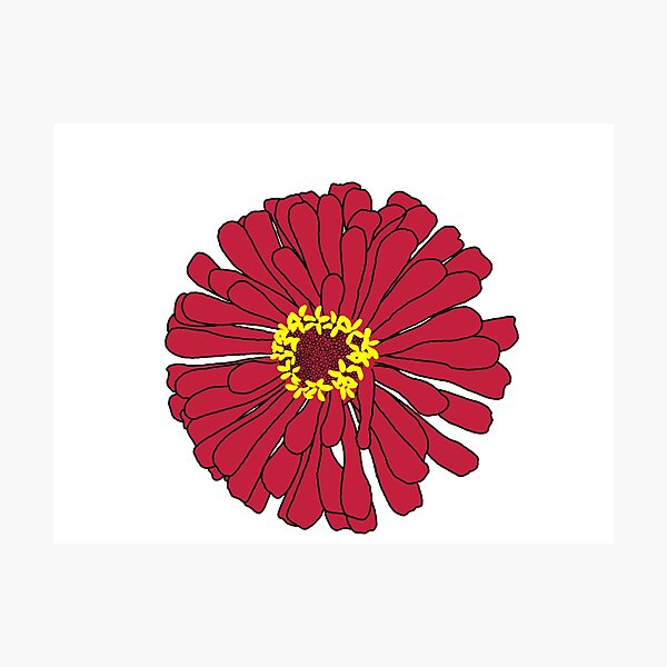 Red Flower Photographic Print