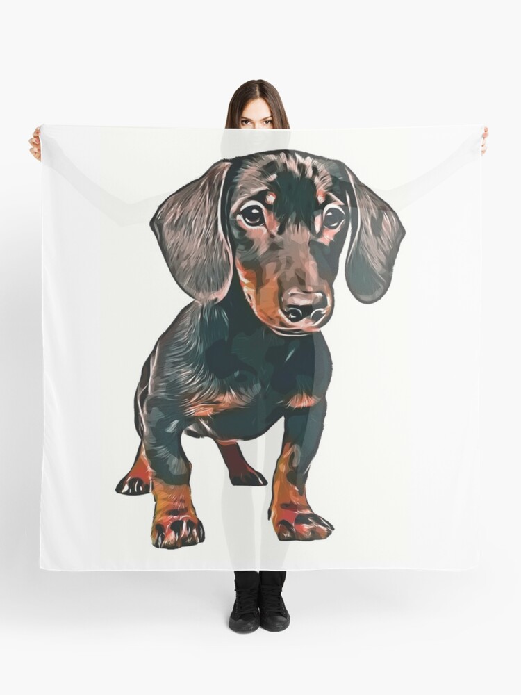 Weiner sales dog scarf