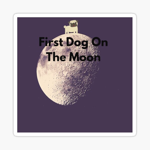 first dog on the moon t shirts