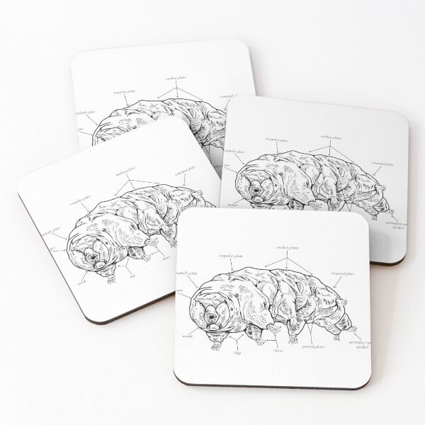 Item preview, Tardigrade Anatomy designed and sold by CloodleOodle.