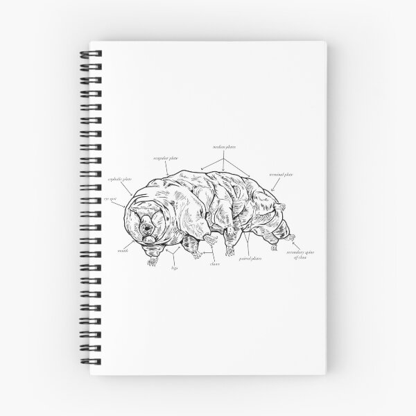 Artikelvorschau, Tardigrade Anatomie entworfen und verkauft von CloodleOodle.