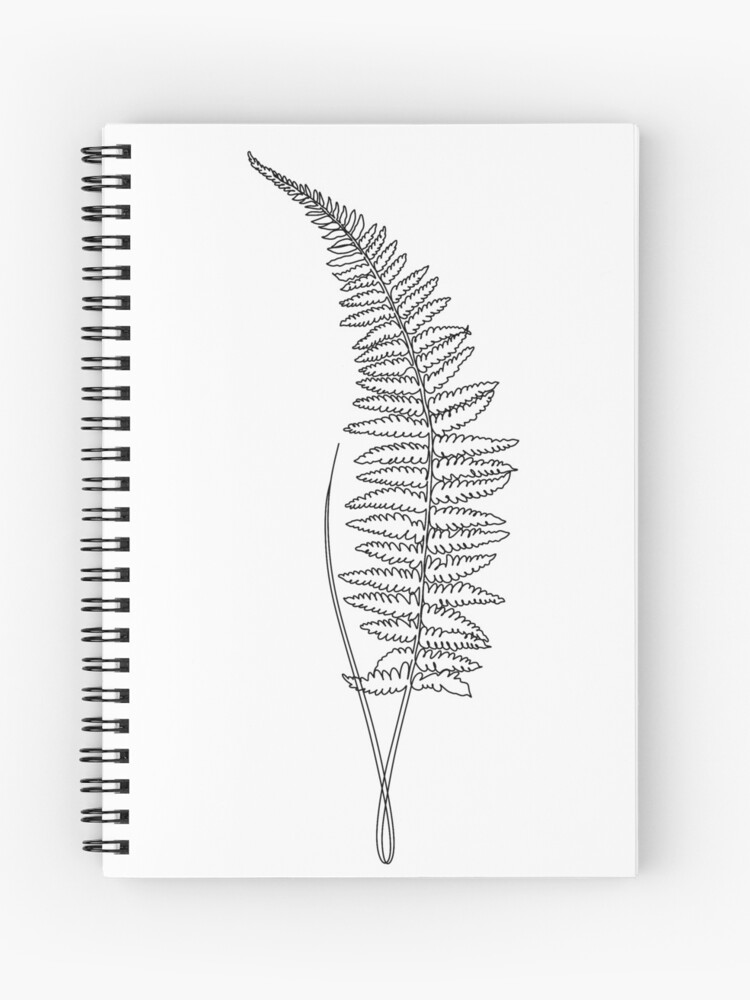 Vector Fern set hand drawn botanical illustration. Botanic art sketch with  wild forest plant Stock Vector | Adobe Stock
