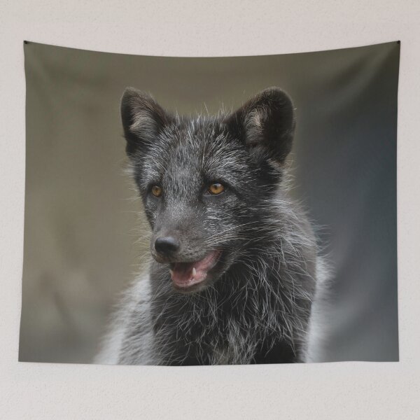 Item preview, Arctic Fox designed and sold by rawshutterbug.