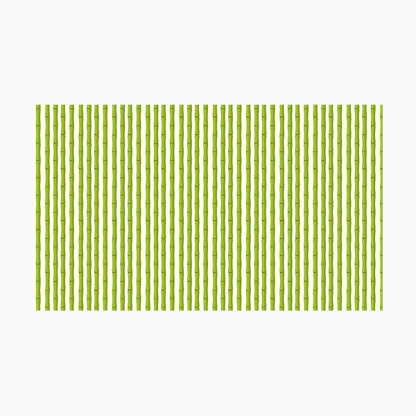 Bamboo Pattern Photographic Print