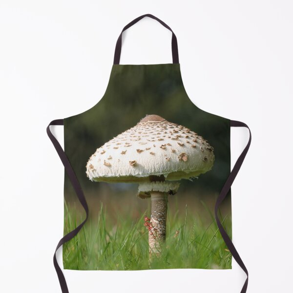 Item preview, Parasol designed and sold by cuprum.