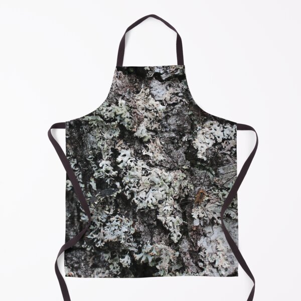 Item preview, Spot the spider designed and sold by cuprum.
