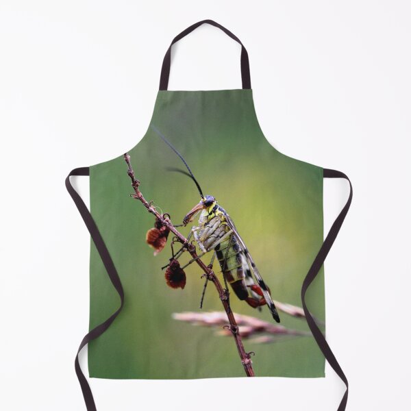 Item preview, I'm the King of the World! designed and sold by cuprum.