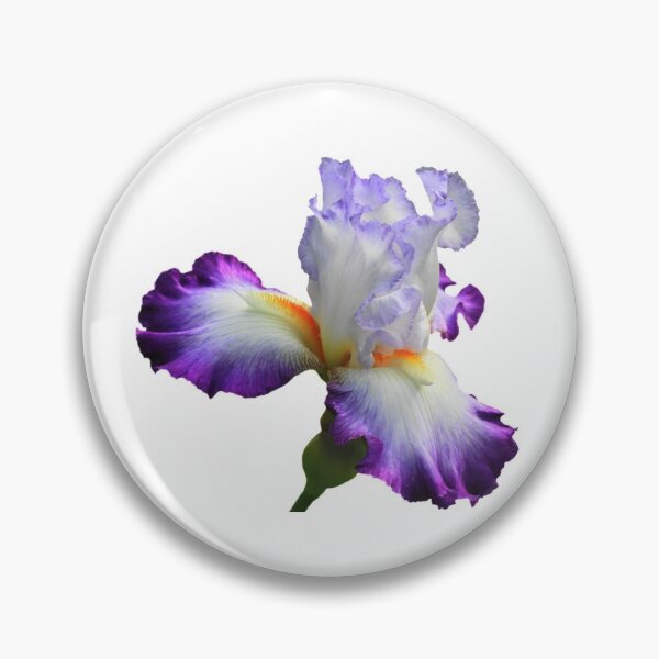 Artikelvorschau, Lila Iris entworfen und verkauft von Designs By Creation.
