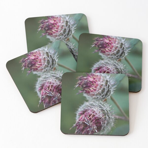 Item preview, Downy burdock 3 designed and sold by Jouko Lehto Photography.
