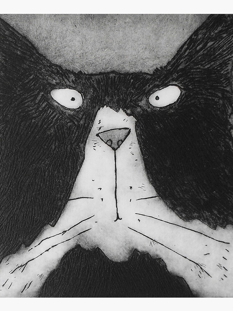 Funny Grumpy Black And White Tom Cat by lucygell