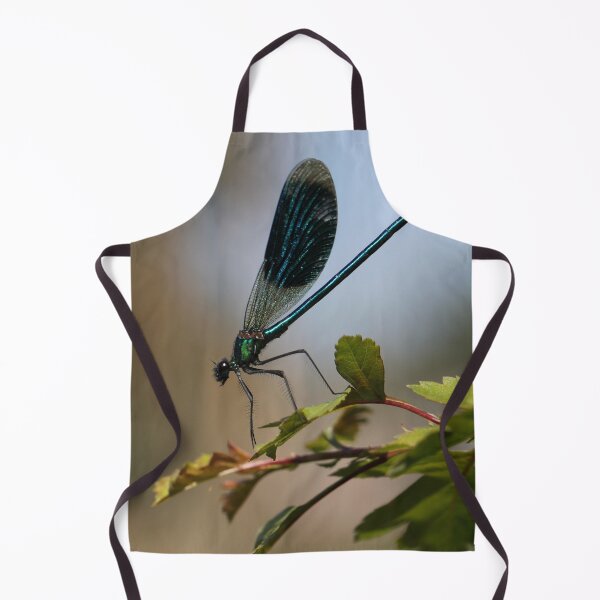 Item preview, Banded demoiselle designed and sold by cuprum.