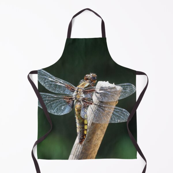 Item preview, The Broad-bodied Chaser designed and sold by cuprum.