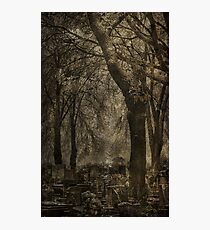 Gloom Photographic Print