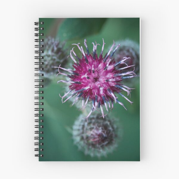 Item preview, Surrealistic. Downy burdock 5 designed and sold by Jouko Lehto Photography.