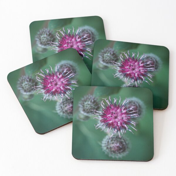 Item preview, Surrealistic. Downy burdock 5 designed and sold by Jouko Lehto Photography.