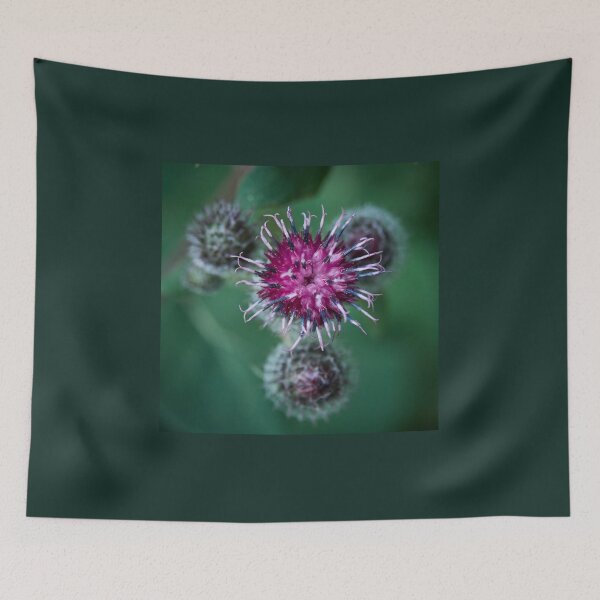 Item preview, Surrealistic. Downy burdock 5 designed and sold by Jouko Lehto Photography.