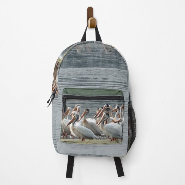 Item preview, American Pelican Flock by Water designed and sold by Susie Kramer.