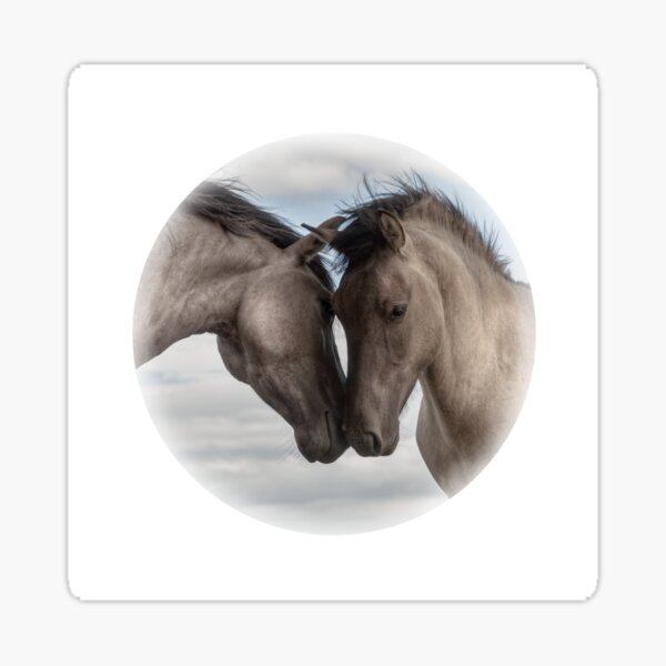 Close Sticker