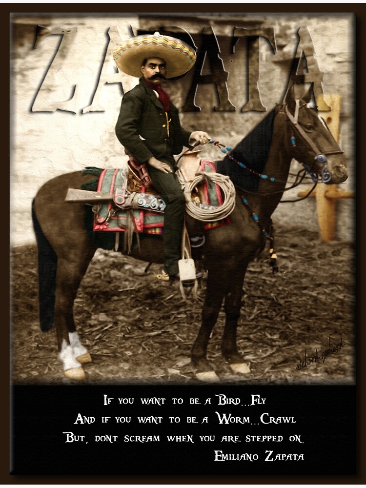 "Zapata " Poster for Sale by rgerhard Redbubble