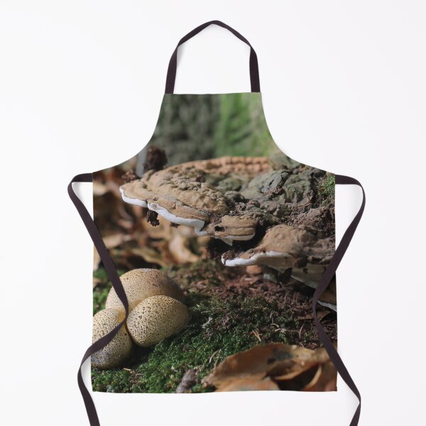 Item preview, Shelter designed and sold by cuprum.