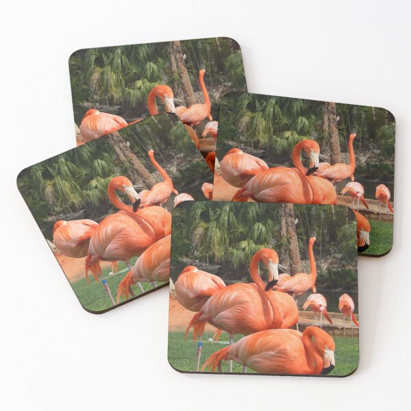 Item preview, Pink Caribbean Flamingo at Busch Gardens designed and sold by Monika's Shop.