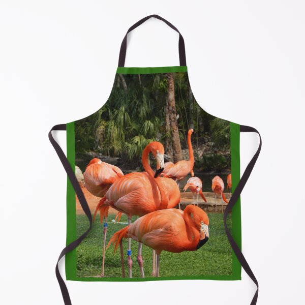 Item preview, Pink Caribbean Flamingo at Busch Gardens designed and sold by Monika's Shop.