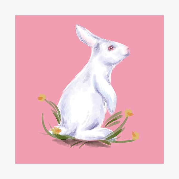 Albino Bunny with Daffodils Photographic Print