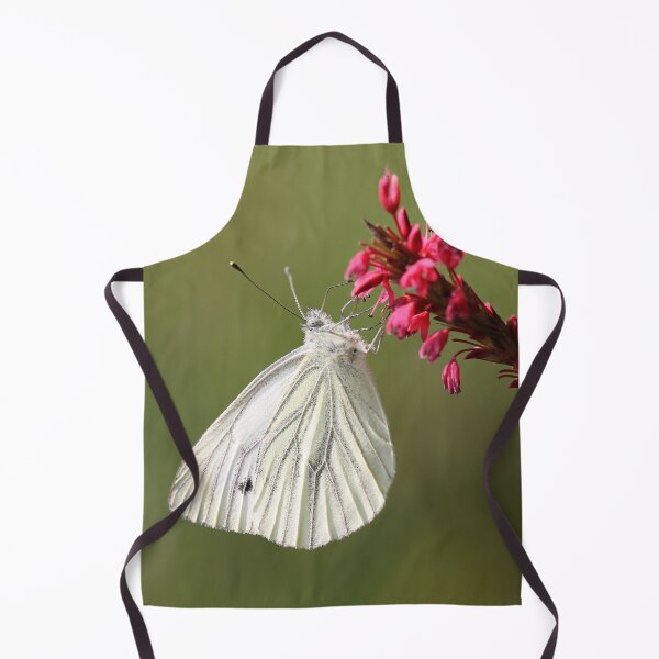 Item preview, Purity designed and sold by cuprum.
