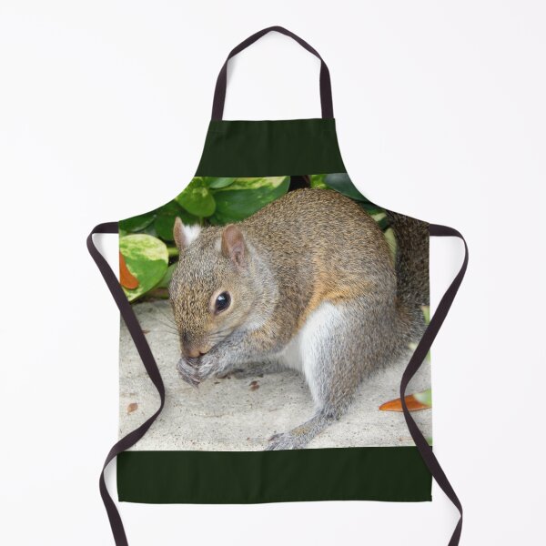 Item preview, Sweet Squirrel at Busch Gardens, Tampa, Florida designed and sold by Monika's Shop.