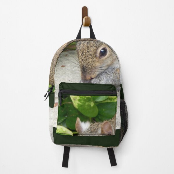 Item preview, Sweet Squirrel at Busch Gardens, Tampa, Florida designed and sold by Monika's Shop.