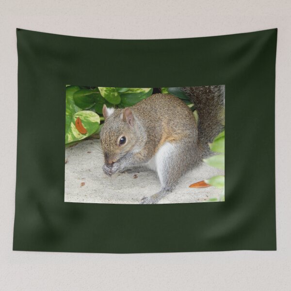 Item preview, Sweet Squirrel at Busch Gardens, Tampa, Florida designed and sold by Monika's Shop.