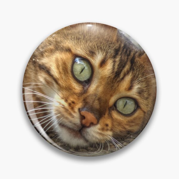 Item preview, Beautiful Relaxed Bengal Cat designed and sold by Mythos57.