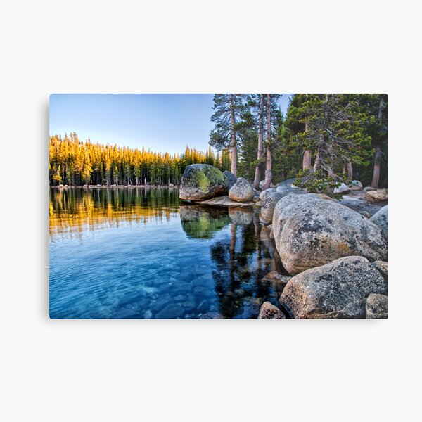 Tenaya Erratics Metal Print
