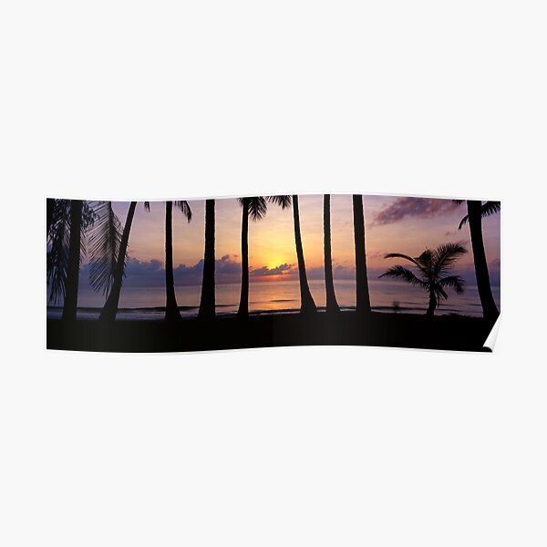 Morning Glory Poster