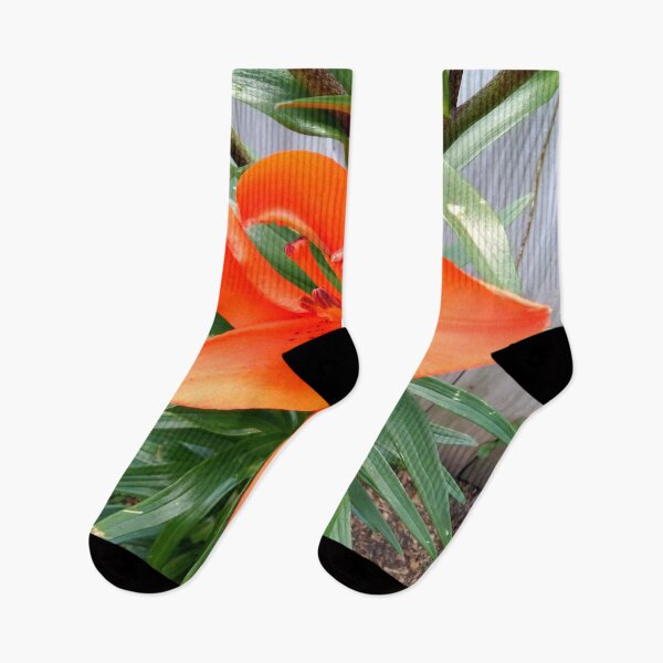 Item preview, Brilliant Orange Asian Lily designed and sold by LydiaRed.