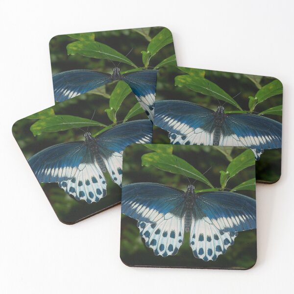 Item preview, Blue Butterfly designed and sold by Moni3572.