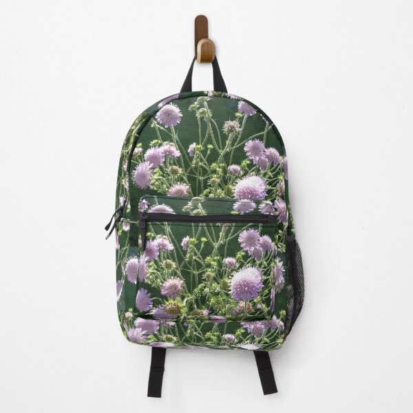 Item preview, Scabious in flower, York designed and sold by paulboizot.