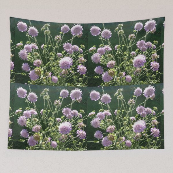 Item preview, Scabious in flower, York designed and sold by paulboizot.