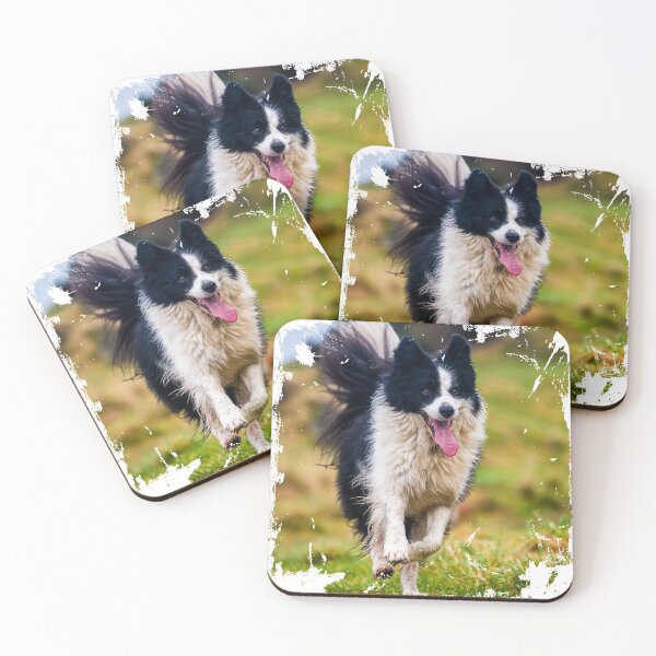Item preview, Scottish Border collie photo  - Black and white dog designed and sold by bdws.