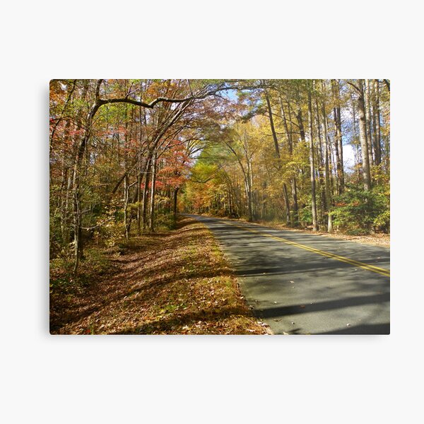 The road to Autumn Metal Print